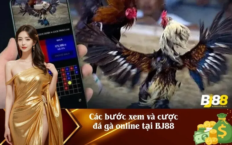 Các bước xem và cược đá gà online tại BJ88