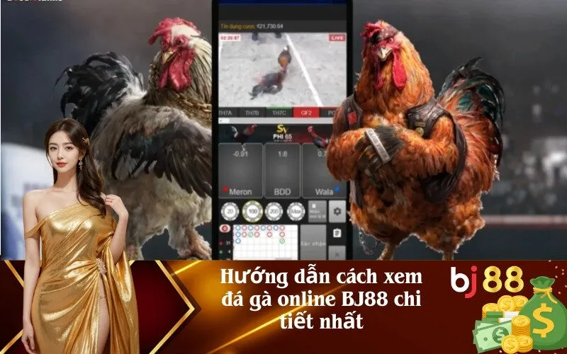 Hướng dẫn cách xem đá gà online BJ88 chi tiết nhất