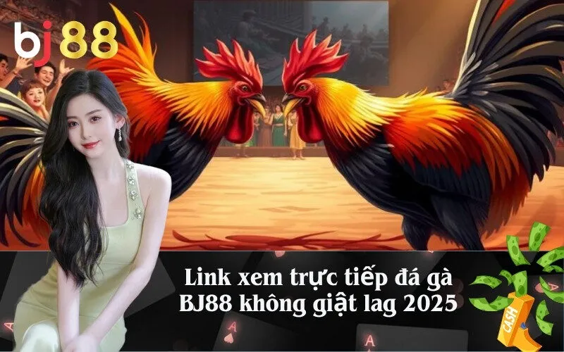 Link xem trực tiếp đá gà BJ88 không giật lag 2025