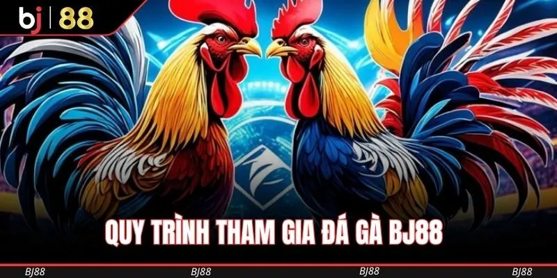 Quy trình tham gia đá gà BJ88 được tối ưu nhanh gọn cho người mới